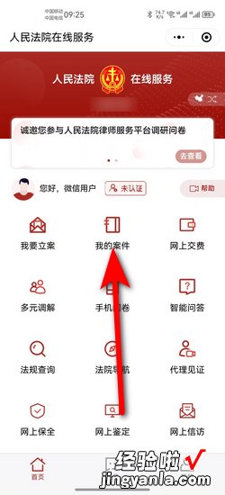 网上怎么查个人起诉信息，网上怎么查起诉案件