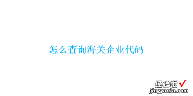 怎么查询海关企业代码，企业海关代码在哪里查询