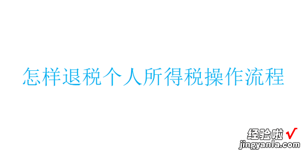 怎样退税个人所得税操作流程，怎样退税个人所得税操作流程2023