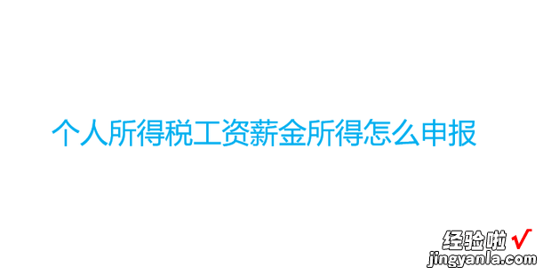 个人所得税工资薪金所得怎么申报，个人所得税工资薪金所得怎么申报个体工商户深圳