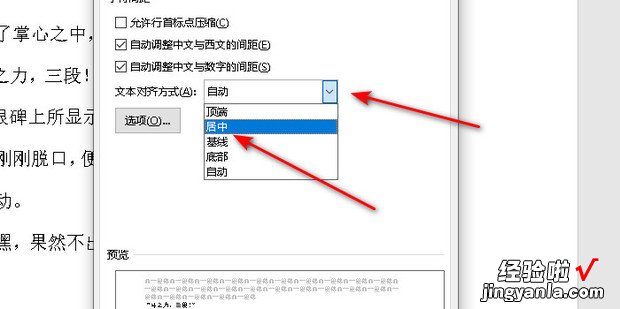 word中同一行上字体不在同一水平线上的调整步骤