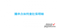 随申办如何查社保明细，随申办如何缴纳社保