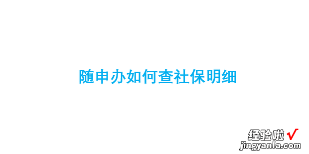 随申办如何查社保明细，随申办如何缴纳社保