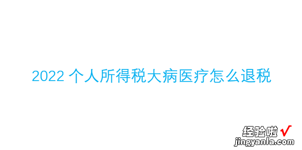 2022个人所得税大病医疗怎么退税，2022个人所得税怎么申报退税