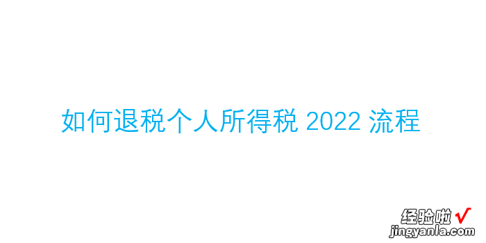 如何退税个人所得税2022流程，如何退税个人所得税2022流程手机