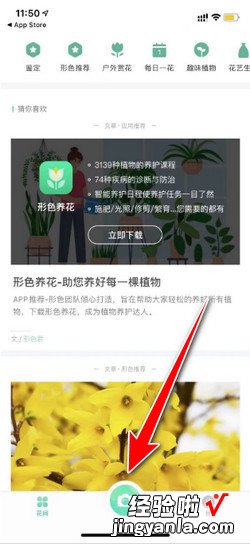 形色APP怎样拍照识花，形色拍照识花app官方下载
