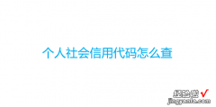 个人社会信用代码怎么查，个人社会信用代码怎么查询