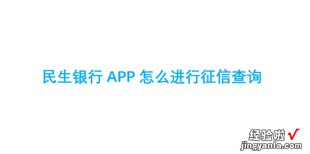 民生银行APP怎么进行征信查询，民生银行App查征信