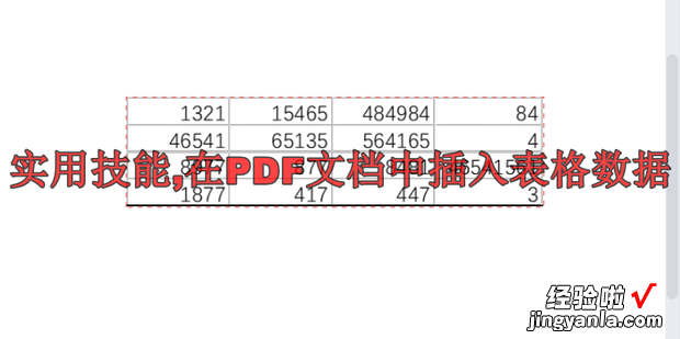 实用技能,在PDF文档中插入表格数据