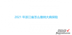 2021年浙江省怎么缴纳大病保险