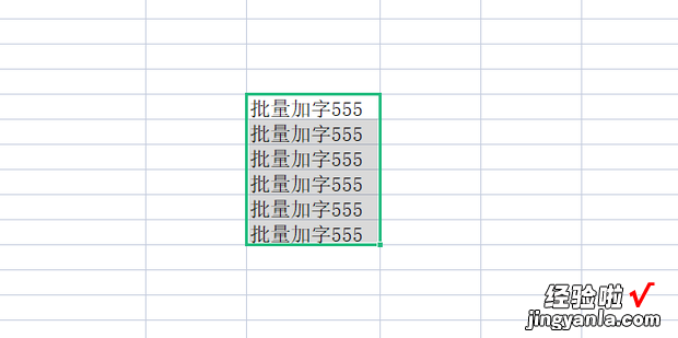 怎么在Excel中给表格批量加上文字，Excel表格怎么批量