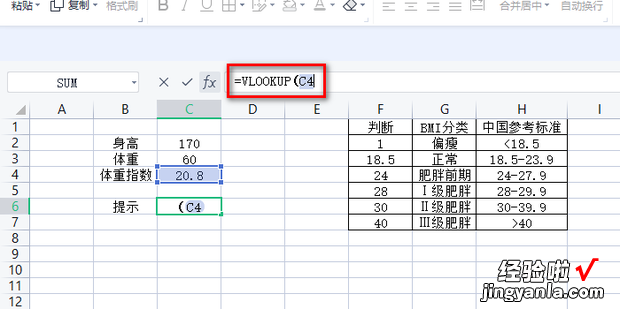 excel如何根据体重指数得出标准判断提示