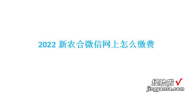 2022新农合微信网上怎么缴费，2022新农合微信网上缴费入口