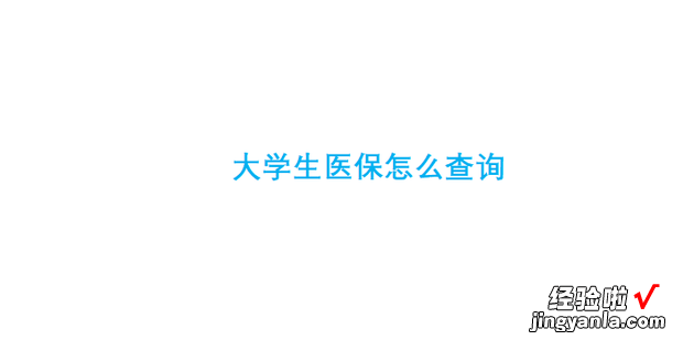 大学生医保怎么查询，大学生医保怎么查询有没有交