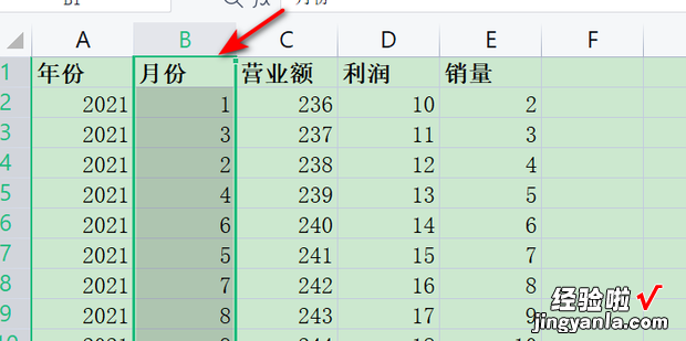 【WPS Excel系列】如何自动分类汇总