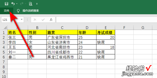 Excel表格的选项功能不见了怎么办，excel表格高级选项不见了