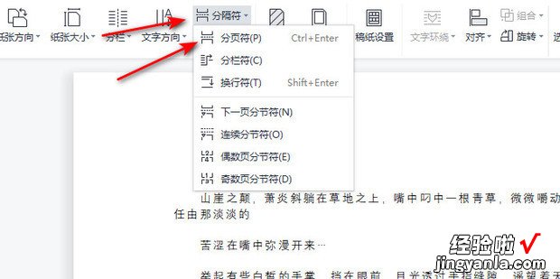 Wps文档显示分页符在哪里设置，wps文档打印在一张纸上怎么设置