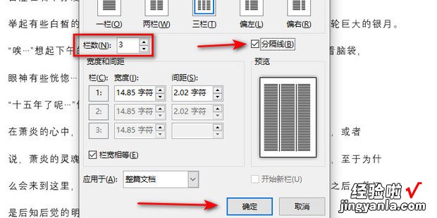 WORD如何分栏,如何在中间加一条竖线