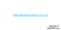 飞猪在哪里取消延误无忧礼包，飞猪在哪里取消延误无忧礼包怎么退