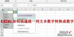 EXCEL如何快速将一列文本数字转换成数字