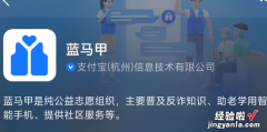 支付宝蓝马甲是什么，支付宝蓝码是什么