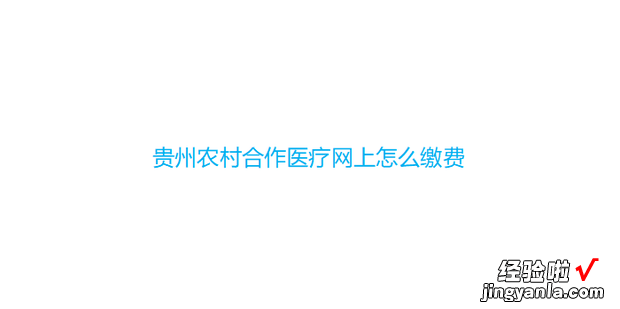 贵州农村合作医疗网上怎么缴费，贵州农村医保网上缴费