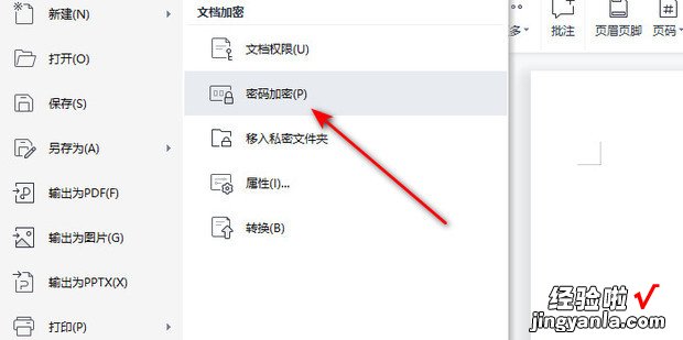 wps文档加密怎么设置，wps文档加密怎么设置密码
