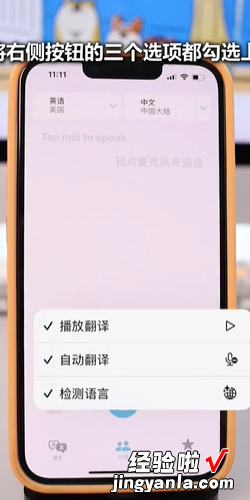 苹果手机翻译功能怎么用，苹果手机翻译功能怎么用的