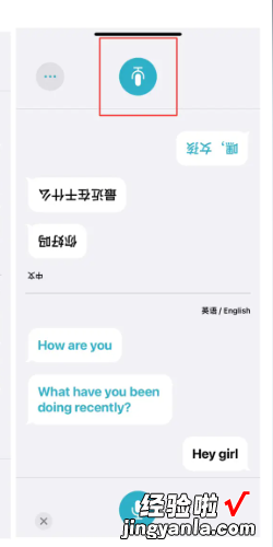 苹果手机翻译功能怎么用，苹果手机翻译功能怎么用的