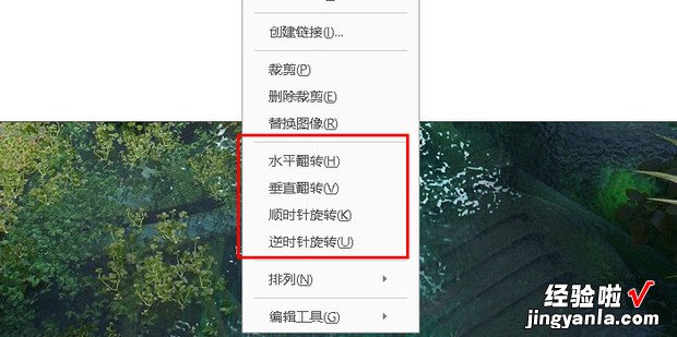 pdf怎么旋转图片方向，pdf怎么旋转图片方向快捷键