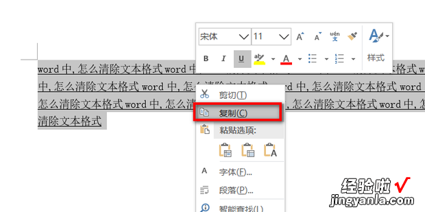 word中,怎么清除文本格式，word文档怎么清除文本格式