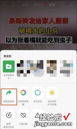 视频号怎么转发，视频号怎么转发别人的视频