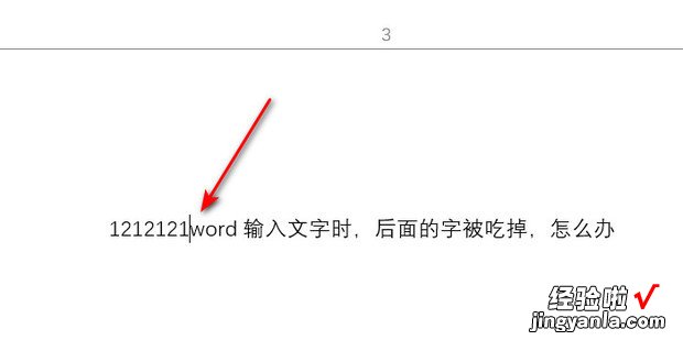 word输入文字时，后面的字被吃掉，怎么办，word输入文字是竖着的怎么改成横的