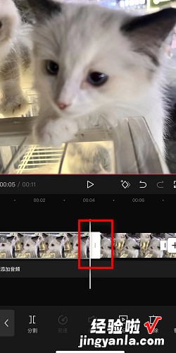 如何用剪映制作图片视频，如何用剪映制作图片视频教程
