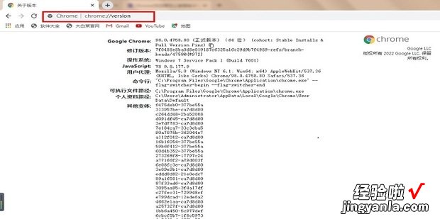 chrome浏览器如何查看版本，chrome浏览器下载