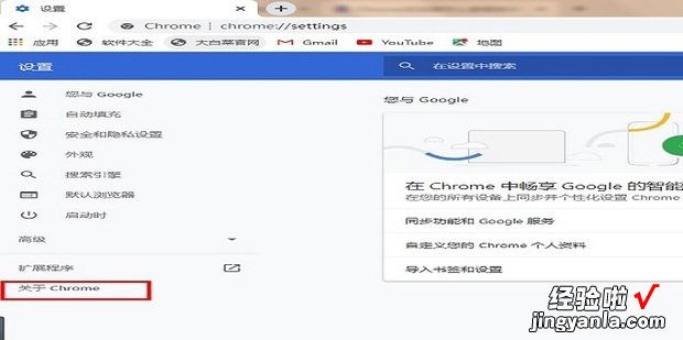 chrome浏览器如何查看版本，chrome浏览器下载