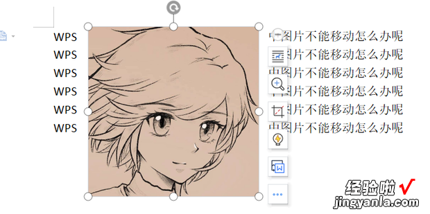 WPS中图片不能移动怎么办呢，WPS图片不能移动