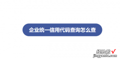 企业统一信用代码查询怎么查，企业统一信用代码查询怎么查