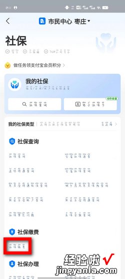 小孩交社保怎么交，小孩交社保怎么交支付宝