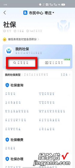 怎么查询五险缴费明细，查询五险缴费明细怎么查