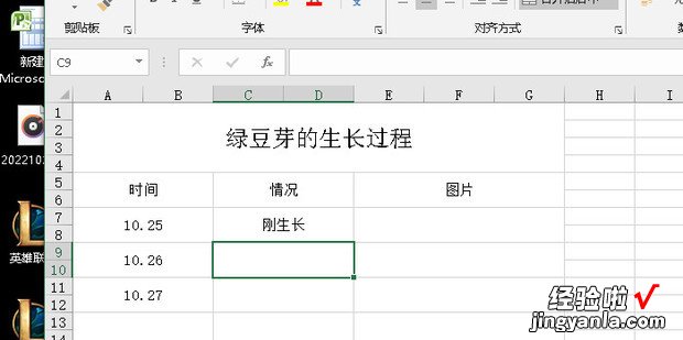 绿豆芽的生长过程记录表格怎么做