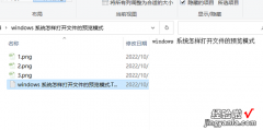 windows 系统怎样打开文件的预览模式