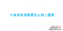 云南省医保缴费怎么网上缴费，云南省医保缴费怎么网上缴费的