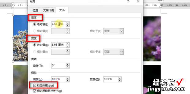 在WORD中如何使插入的图片大小一致