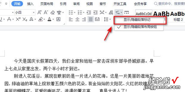 WPS文字如何显示或删除分页符，wps文字求和怎么操作出来