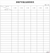 房地产开发企业财务状况表Word文档下载