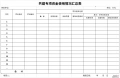 共建专项资金使用情况汇总表Word文档下载