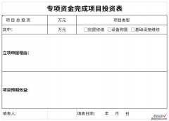 专项资金完成项目投资表Word文档下载