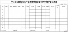 中小企业国际市场开拓资金计划申报评审汇总表Word文档下载