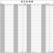 自然资源资产负债表Word文档下载